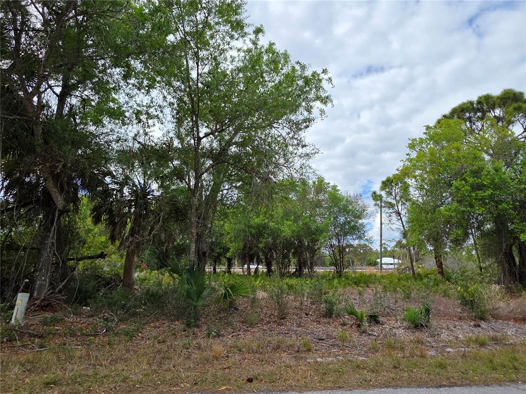 3337 Swanee Road, Unit 23 Punta Gorda, FL 33980 - Photo 2 of 2 a view of a forest with trees