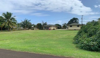a view of a garden