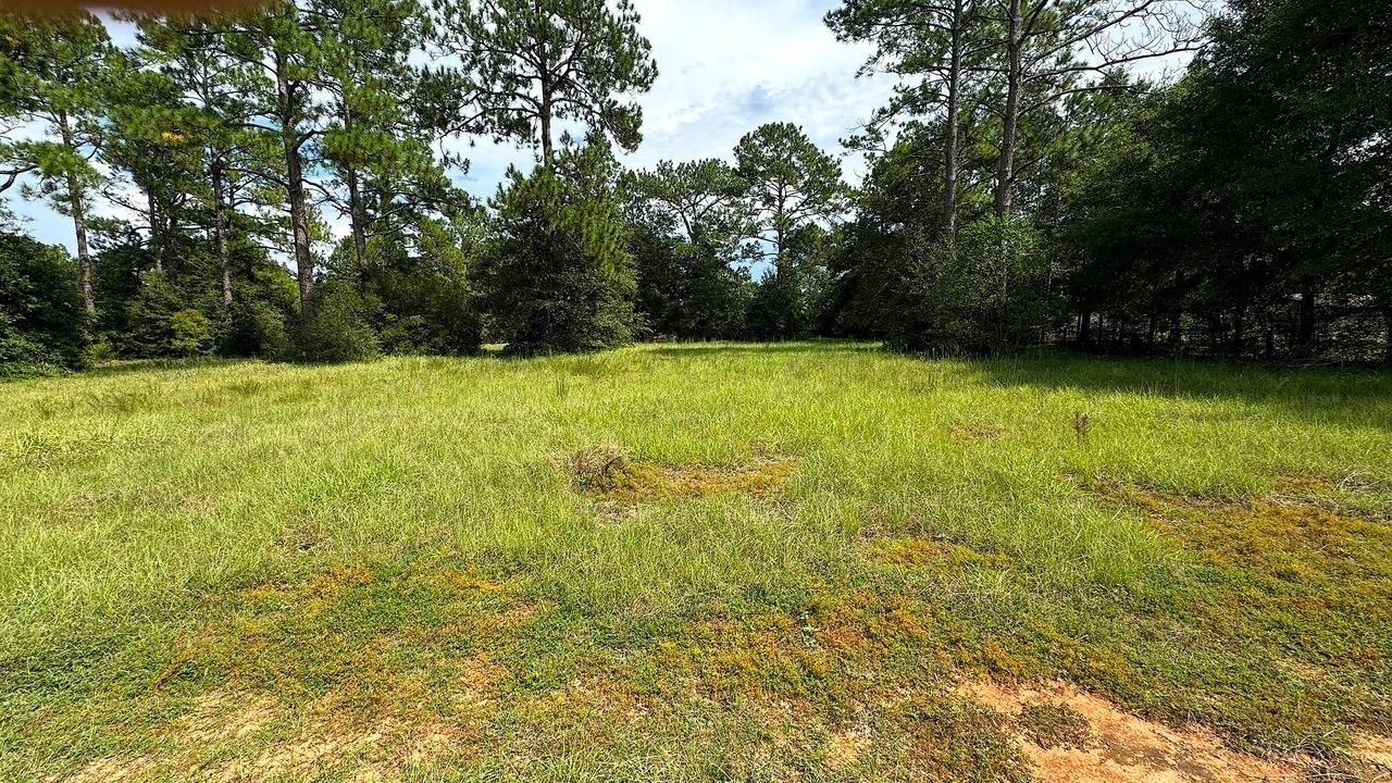 24773 Patterson Road Robertsdale, AL 36567 - Photo 4 of 9