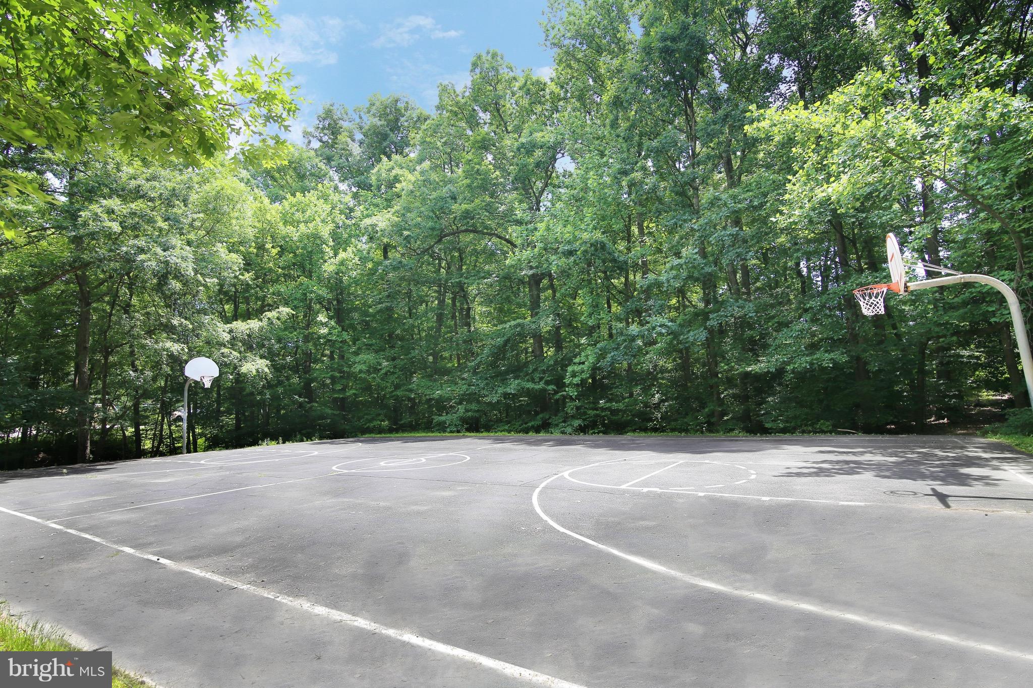 8452 Rushing Creek Court Springfield, VA 22153 - Photo 29 of 30 Basketball Courts