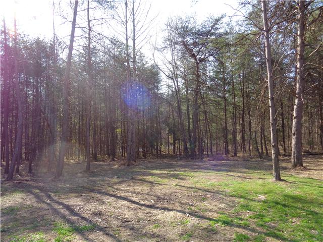 7194 Drag Strip Road Fairview, TN 37062 - Photo 3 of 20 a view of outdoor space with deck and tree