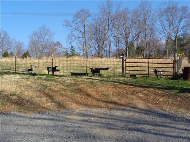 7194 Drag Strip Road Fairview, TN 37062 - Photo 4 of 20 a view of yard with trees