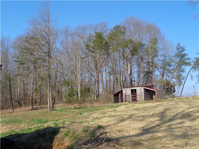7194 Drag Strip Road Fairview, TN 37062 - Photo 5 of 20 a large tree in middle of the middle of a yard
