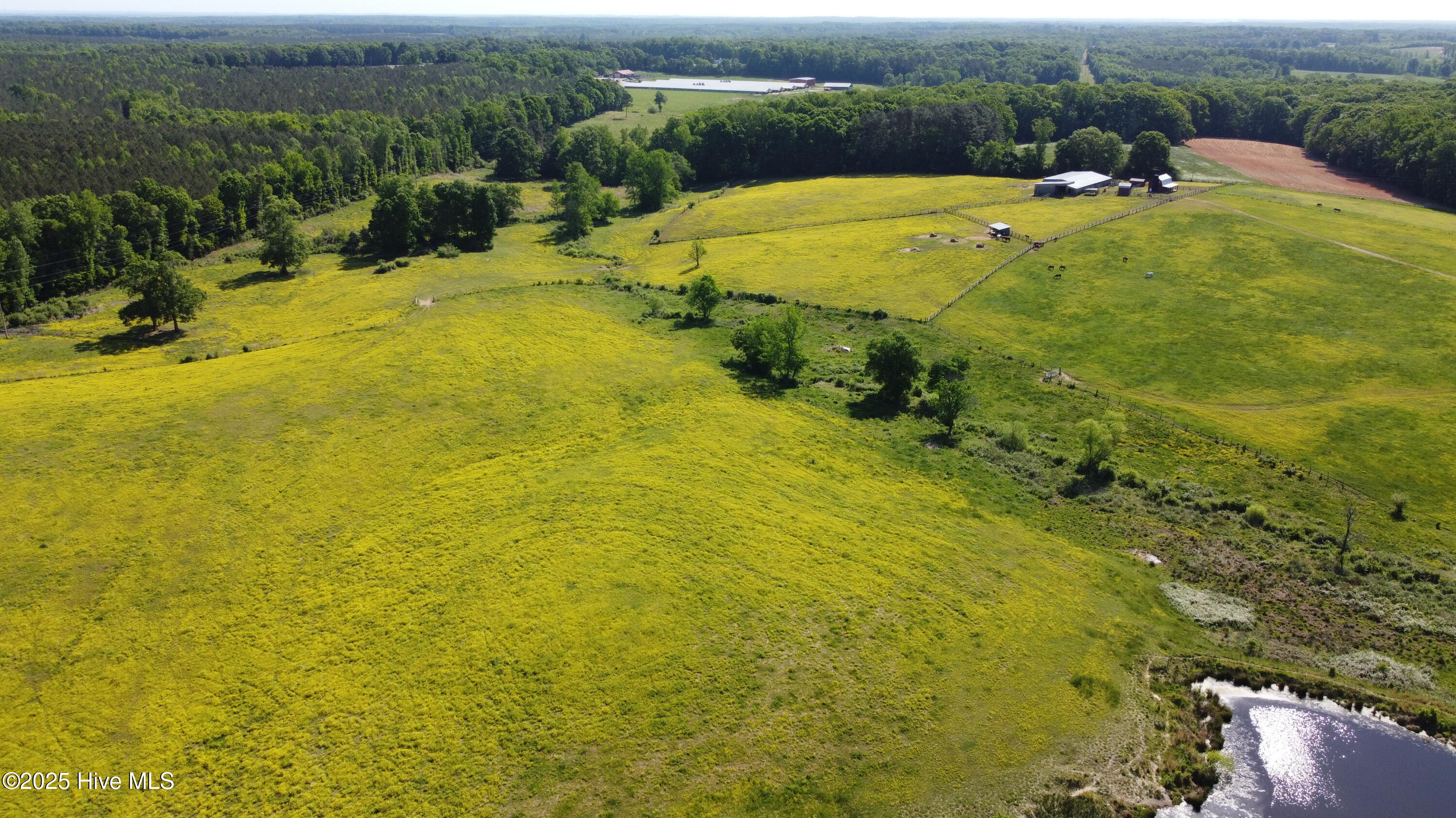 455 Hogan Farm Road Seagrove, NC 27341 - Photo 20 of 87 DJI_0738_Original