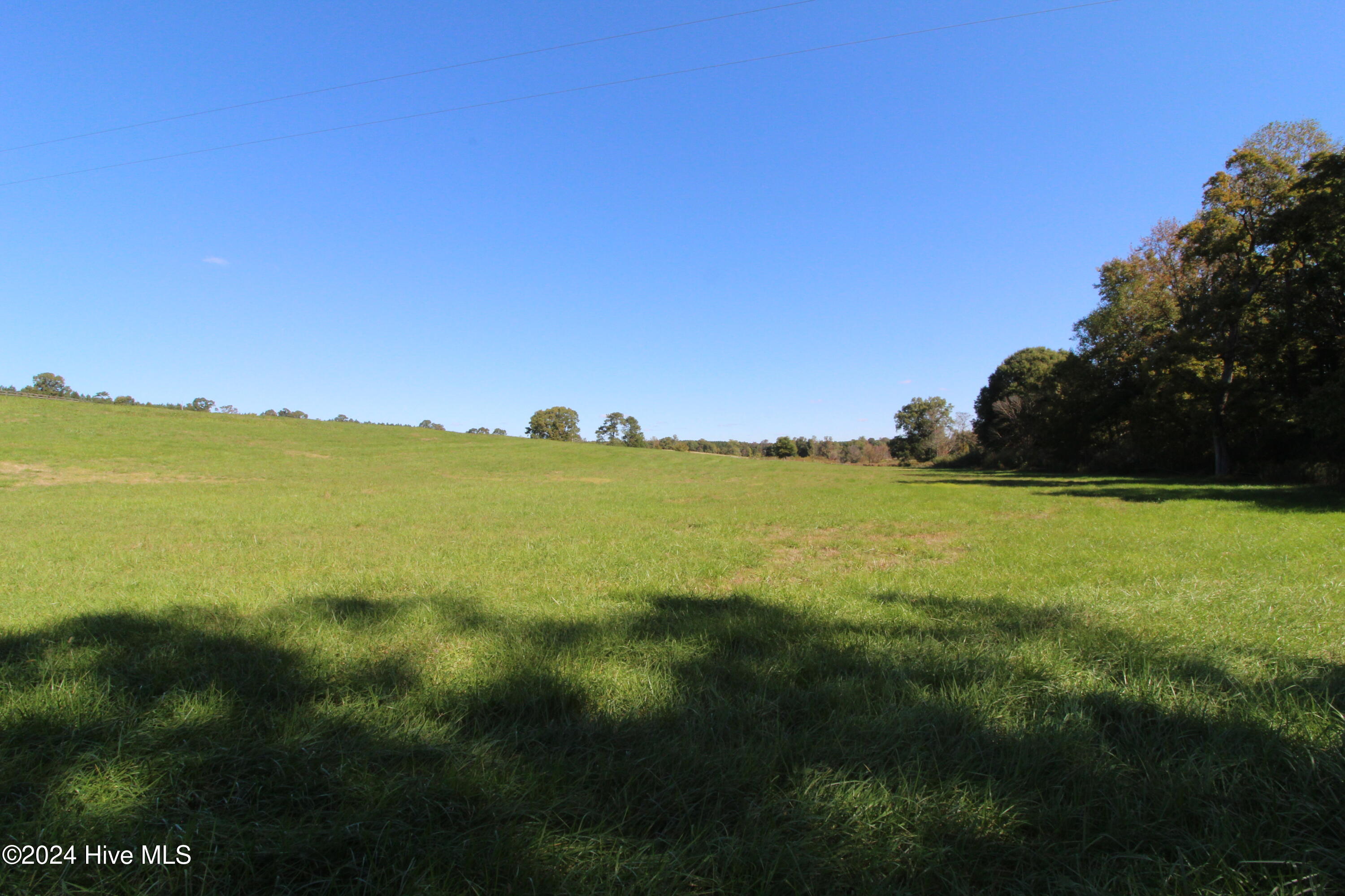 455 Hogan Farm Road Seagrove, NC 27341 - Photo 25 of 87 9