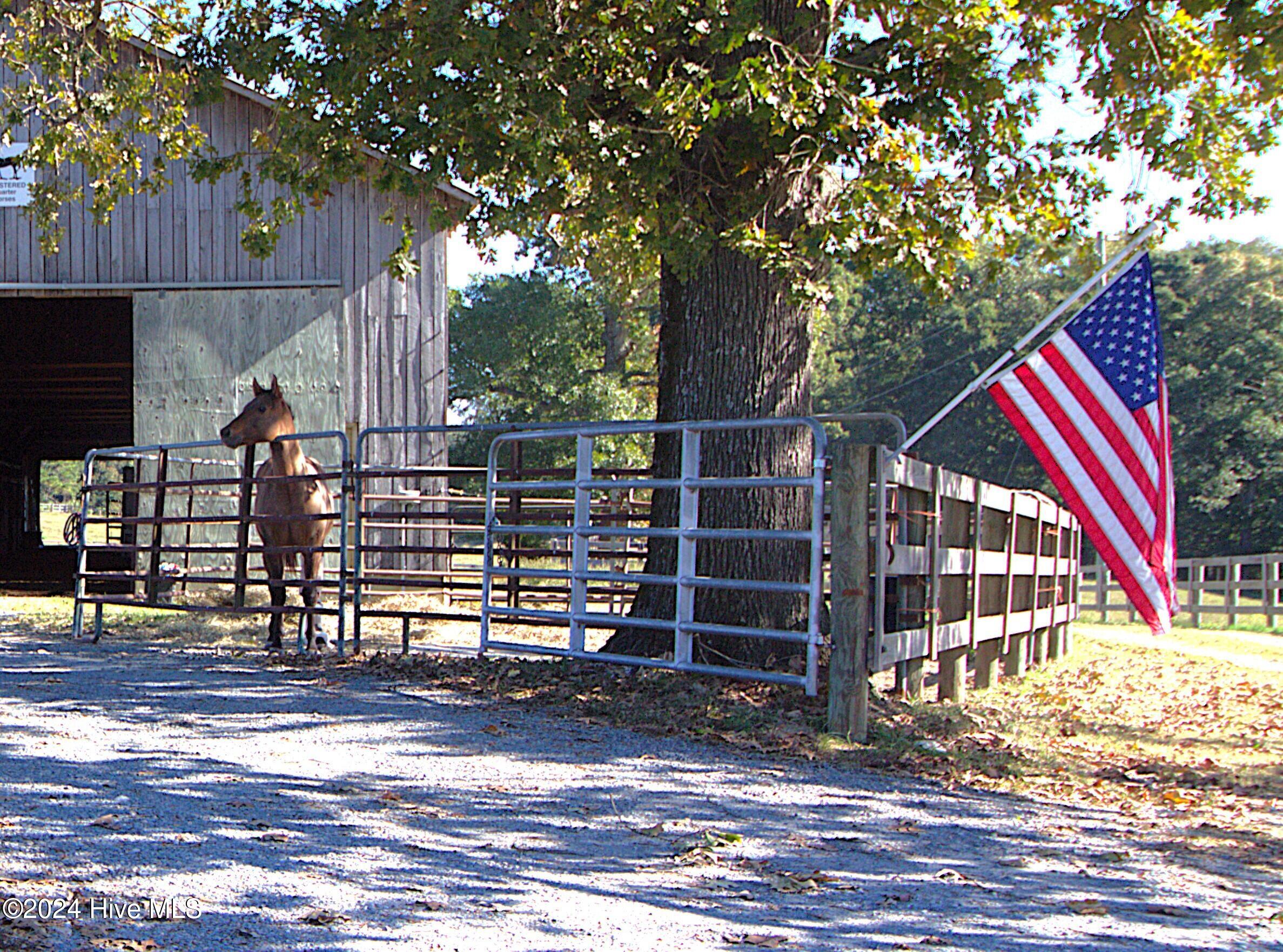 455 Hogan Farm Road Seagrove, NC 27341 - Photo 39 of 87 Flag and Horse