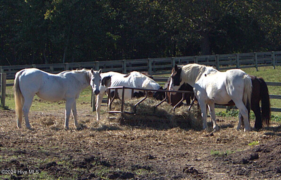 455 Hogan Farm Road Seagrove, NC 27341 - Photo 50 of 87 pasture