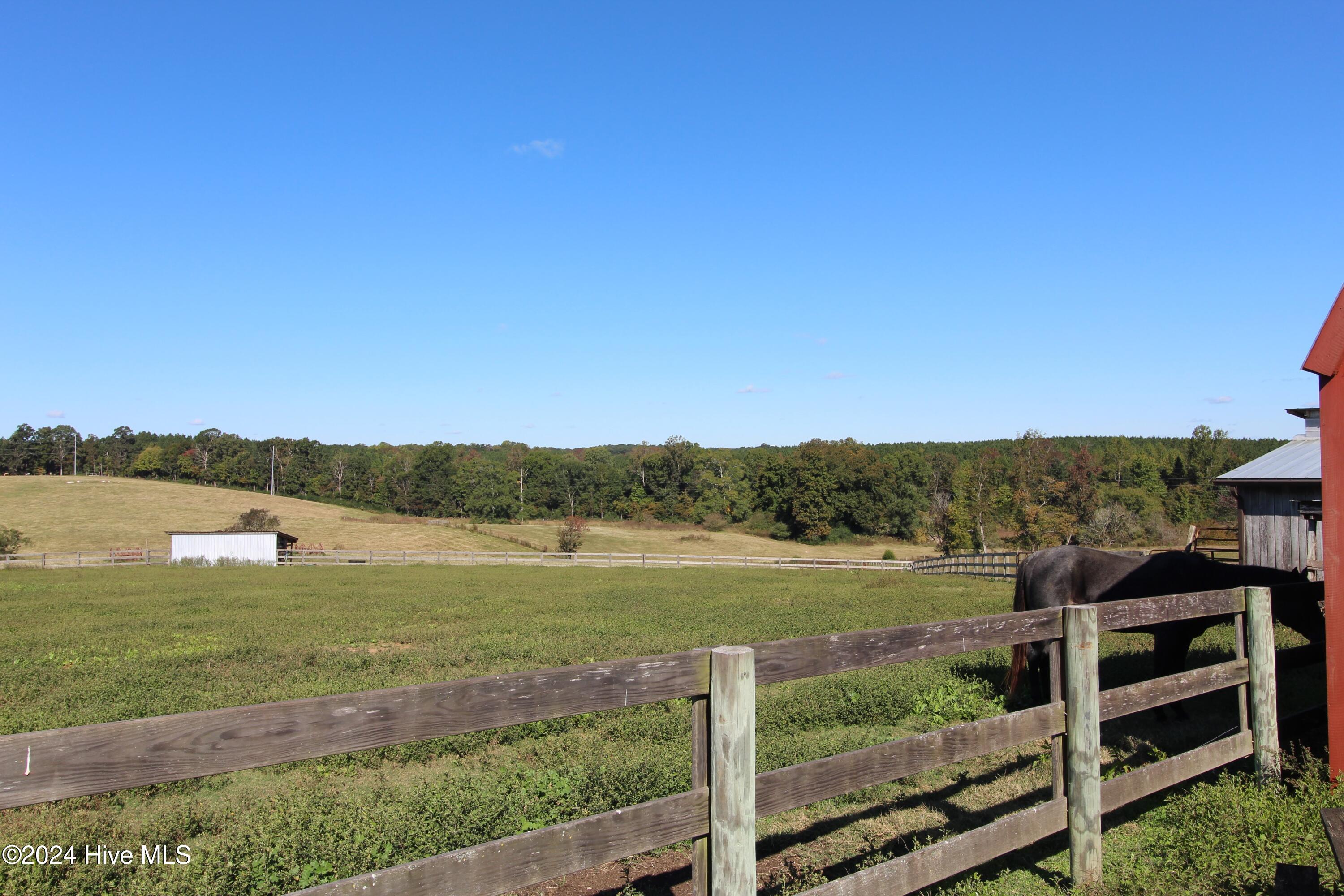 455 Hogan Farm Road Seagrove, NC 27341 - Photo 62 of 87 pasrture 1