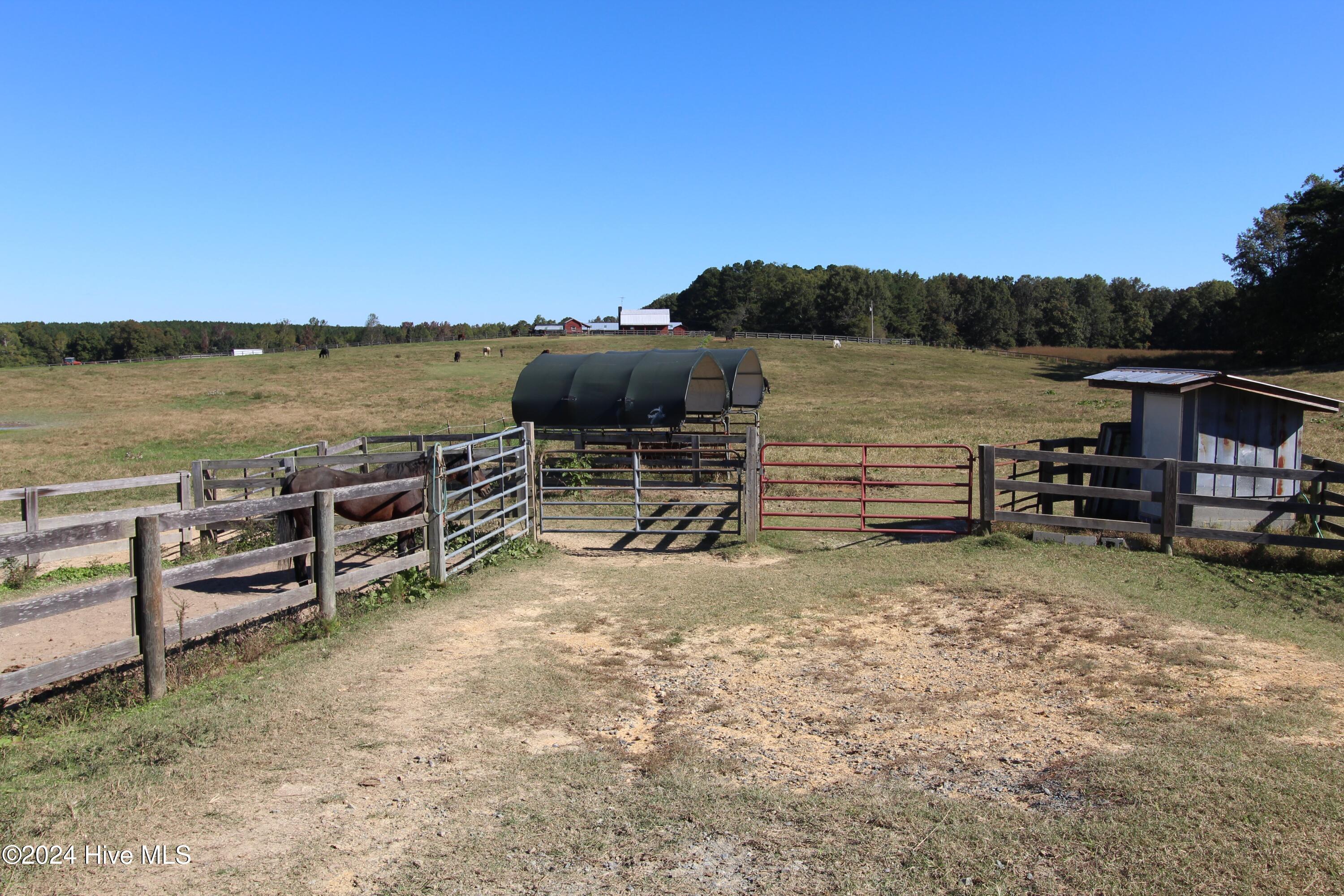 455 Hogan Farm Road Seagrove, NC 27341 - Photo 64 of 87 Pasture 4