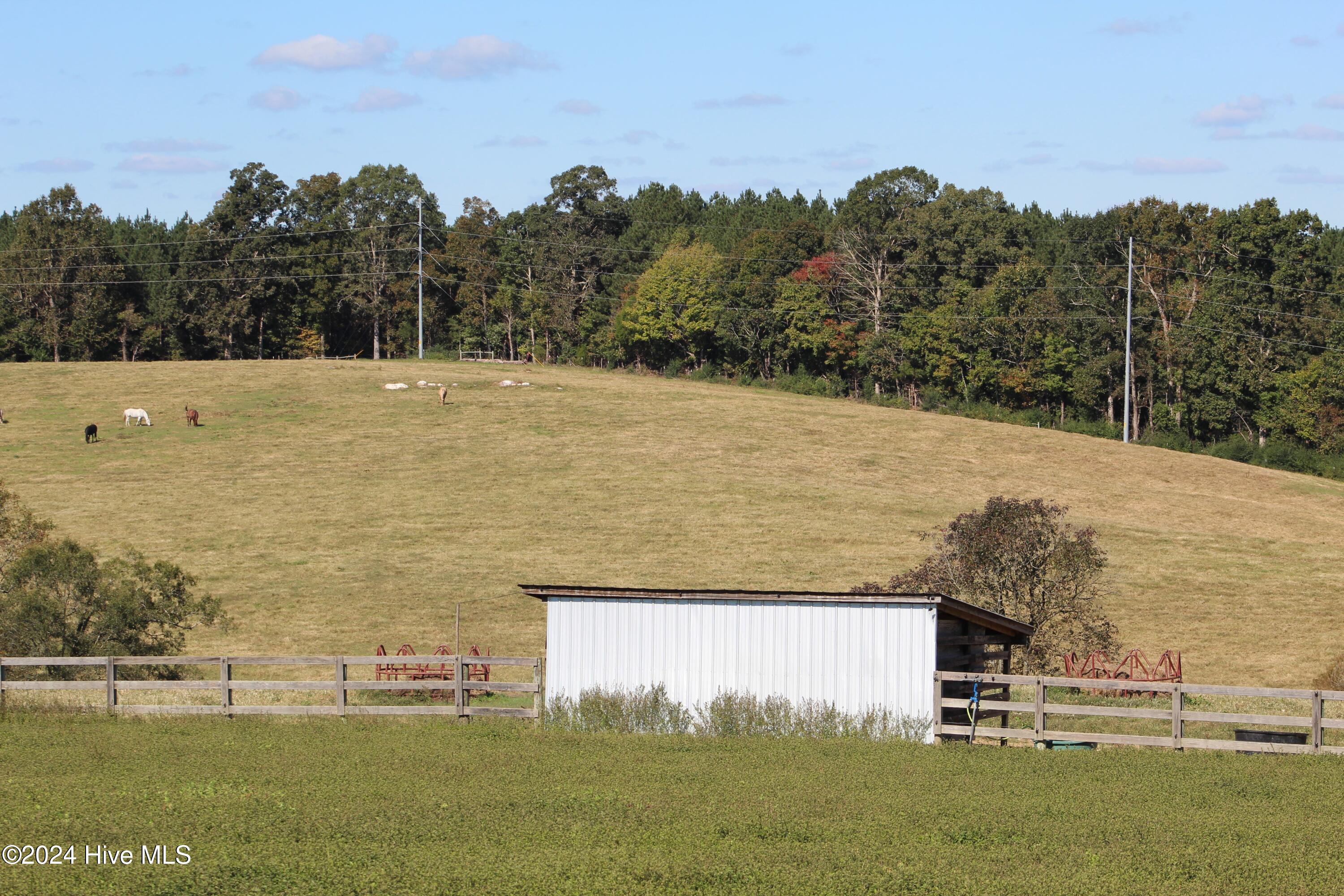 455 Hogan Farm Road Seagrove, NC 27341 - Photo 69 of 87 pasture 10