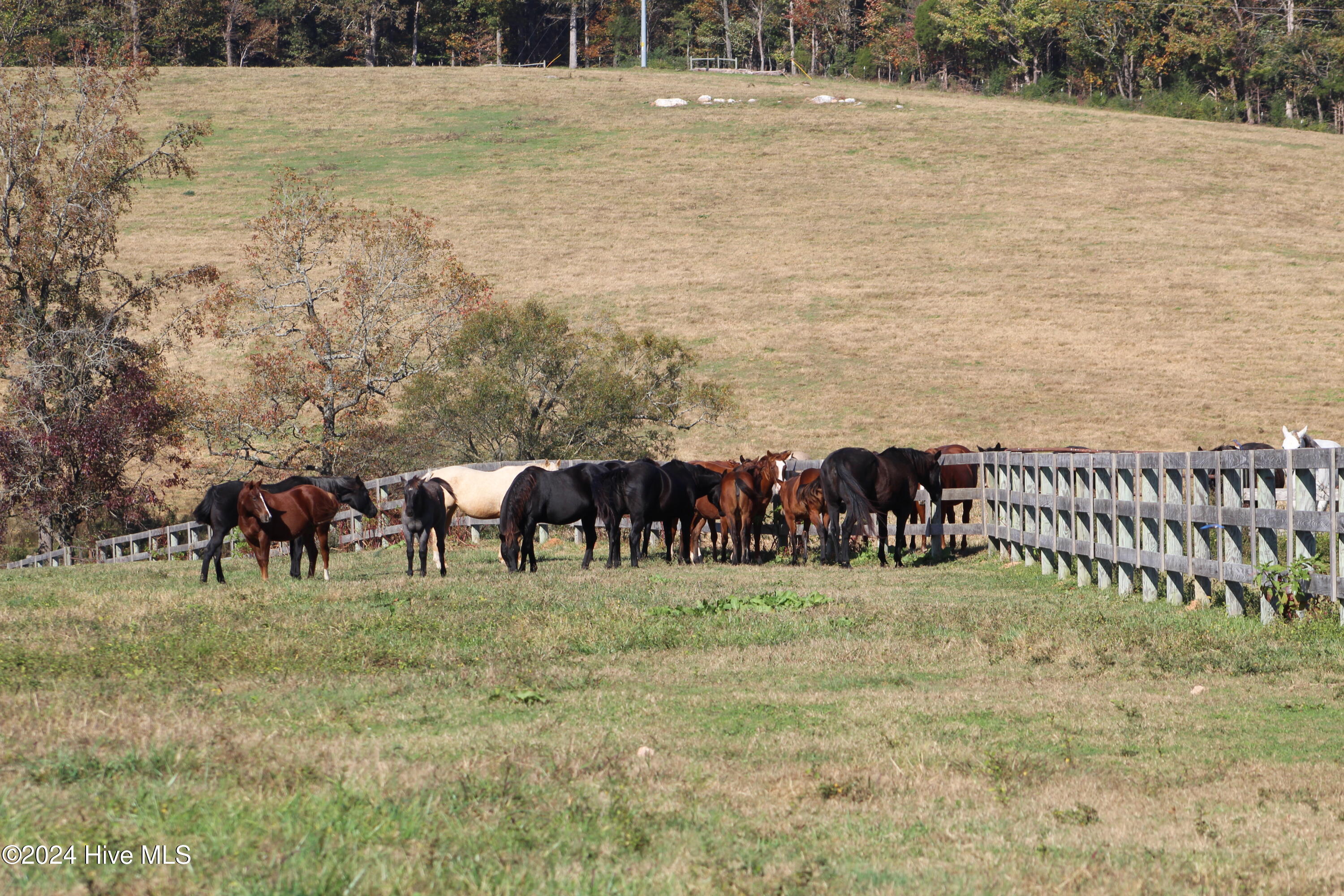 455 Hogan Farm Road Seagrove, NC 27341 - Photo 85 of 87 IMG_0773