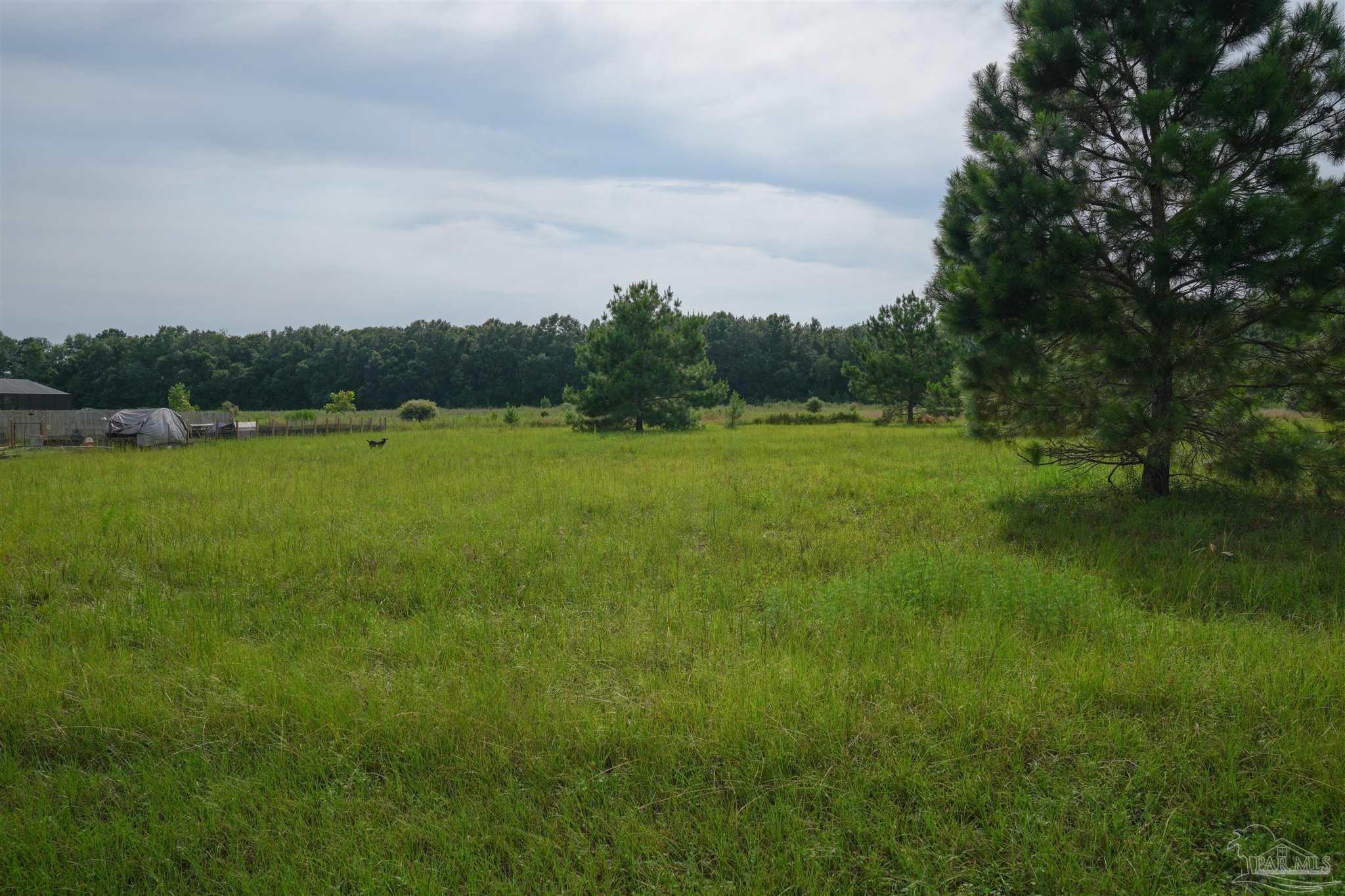 5200 West Spencer Field Road Pace, FL 32571 - Photo 3 of 9