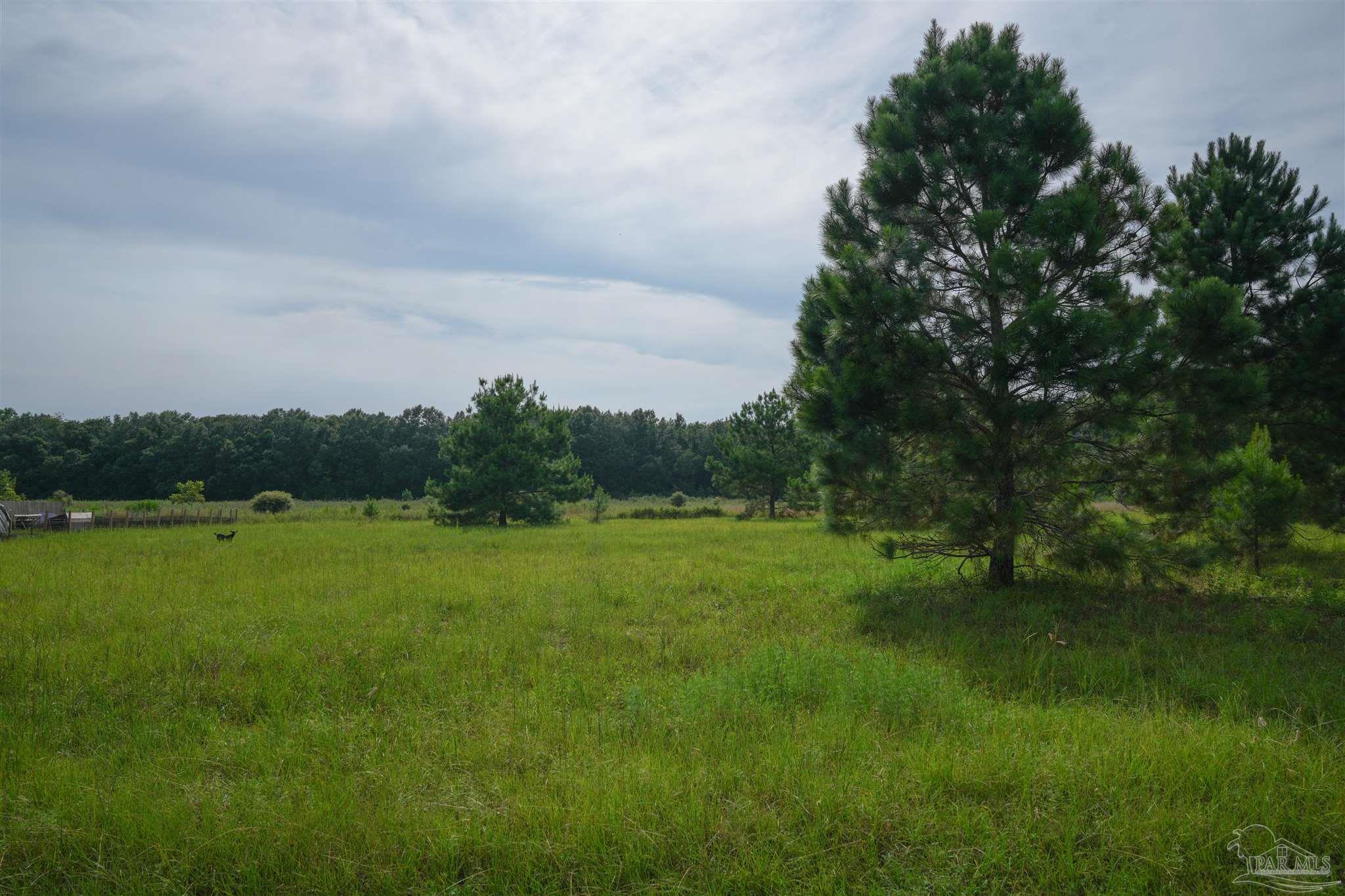 5200 West Spencer Field Road Pace, FL 32571 - Photo 4 of 9