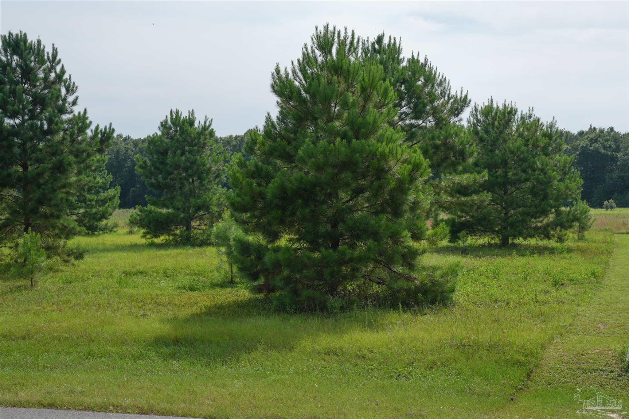 5200 West Spencer Field Road Pace, FL 32571 - Photo 6 of 9