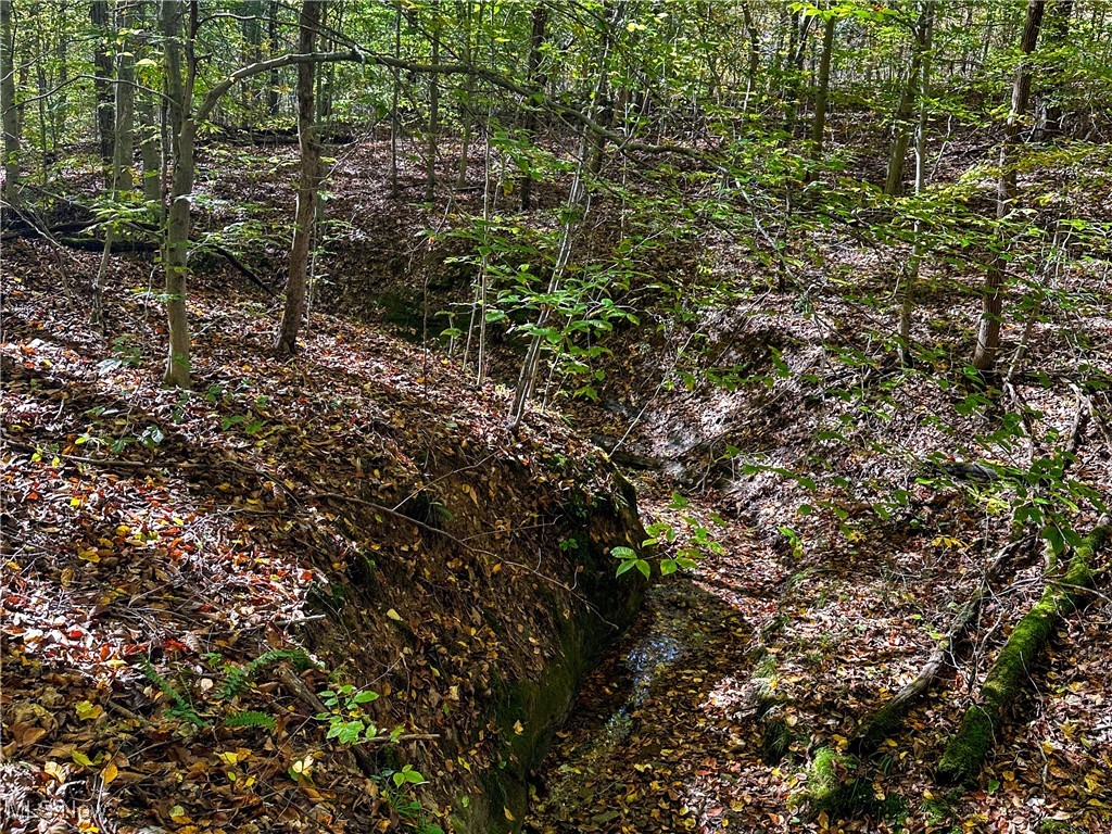 0 Clark Road Cutler, OH 45724 - Photo 5 of 26 View of nature