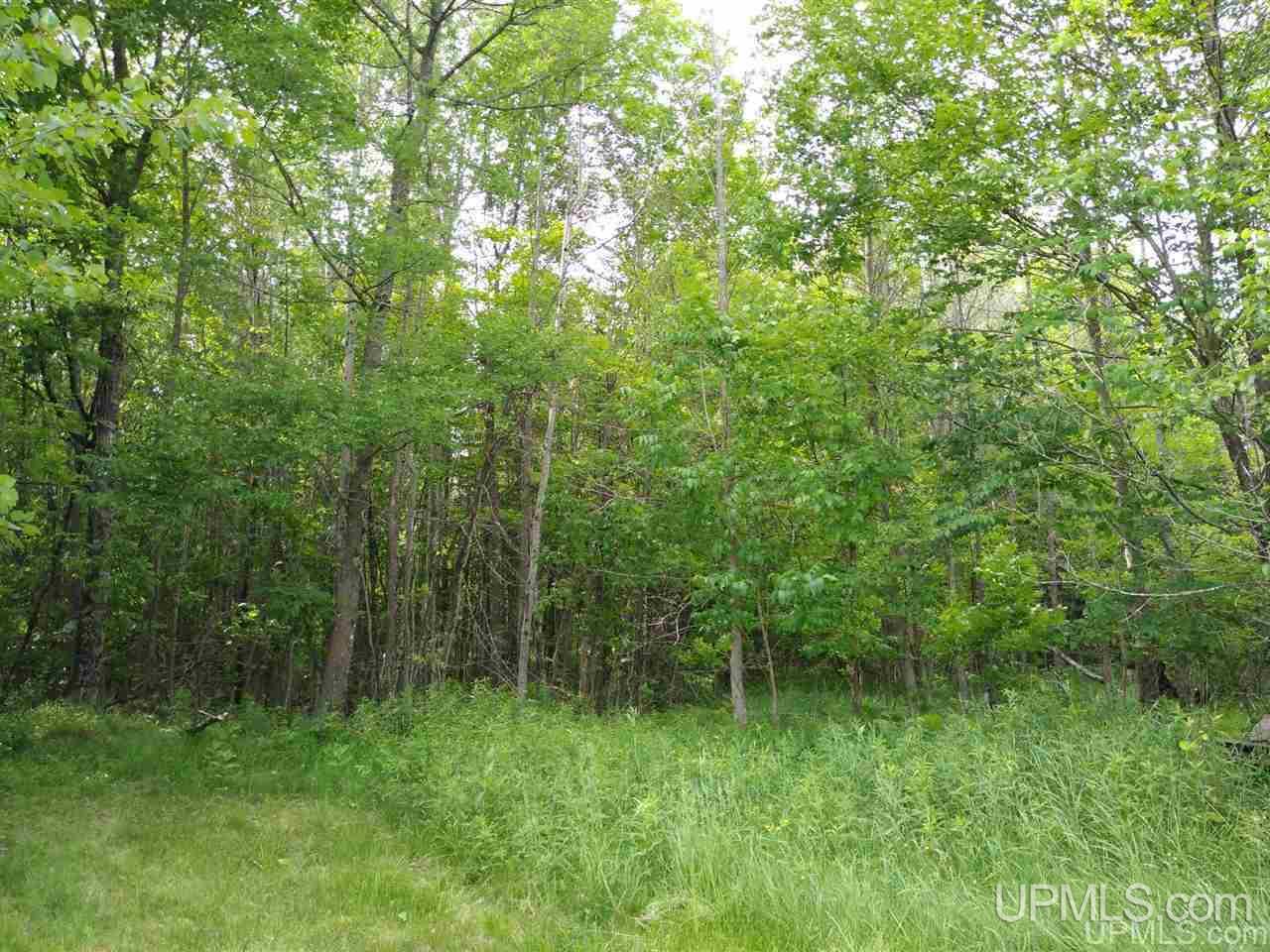 9816 Co Road Rapid River, MI 49878 - Photo 19 of 19 Gallery Image 19