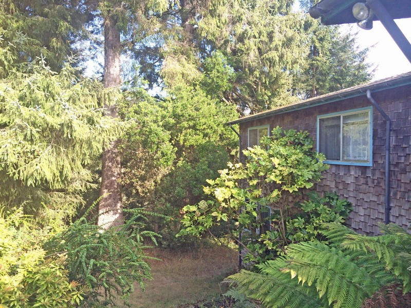 1011 Hawks Hill Road Loleta, CA 95551 - Photo 27 of 35