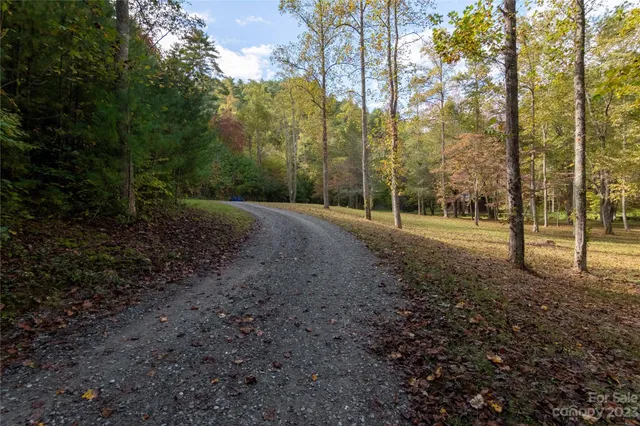 a view of outdoor space with trees