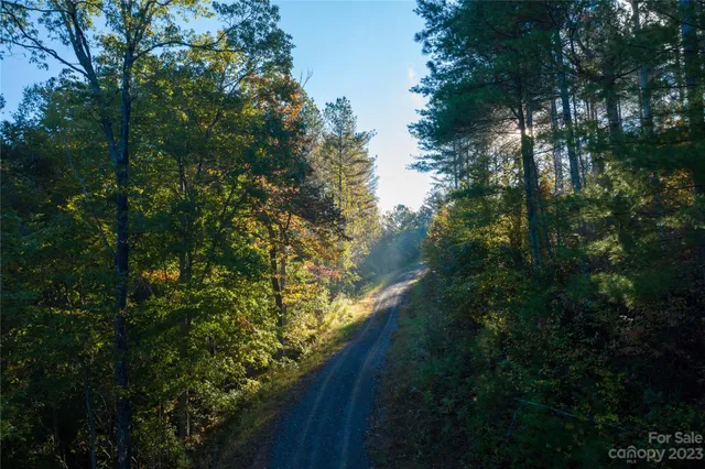 a view of a yard of a house