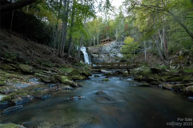 a view of a bunch of trees and bushes