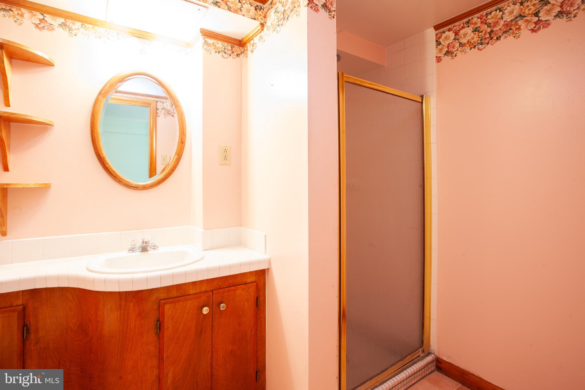 3056 Marston Road Westminster, MD 21157 - Photo 34 of 47 Vanity and shower in lower level