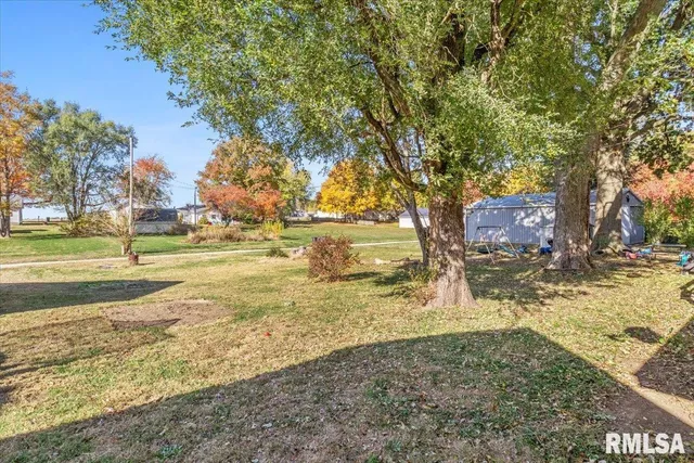 $89,900 | 316 South Curtis Street, Edinburg, IL 62531