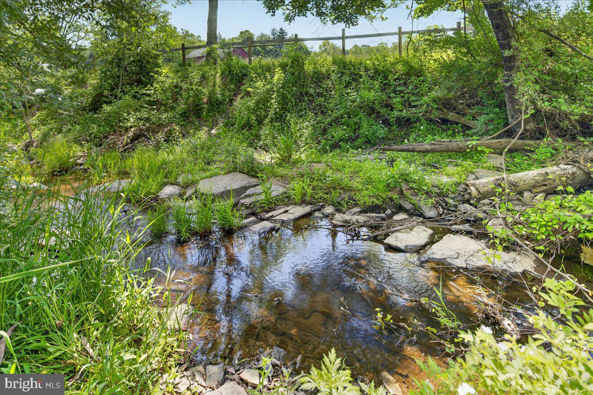 219 Lambertville Hopewell Road Hopewell, NJ 08525 - Photo 47 of 73 Creek