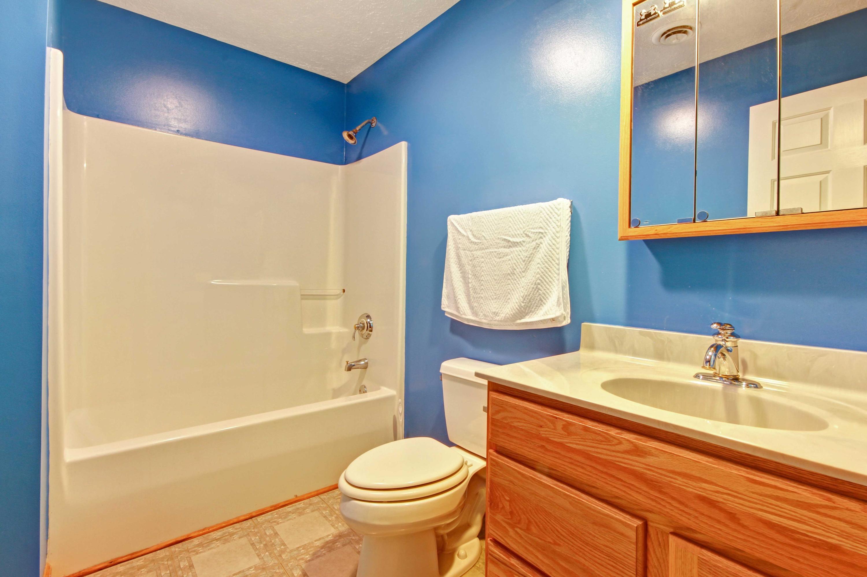 4690 Crosier Road Elliston, VA 24087 - Photo 41 of 79 a bathroom with a sink a toilet and shower