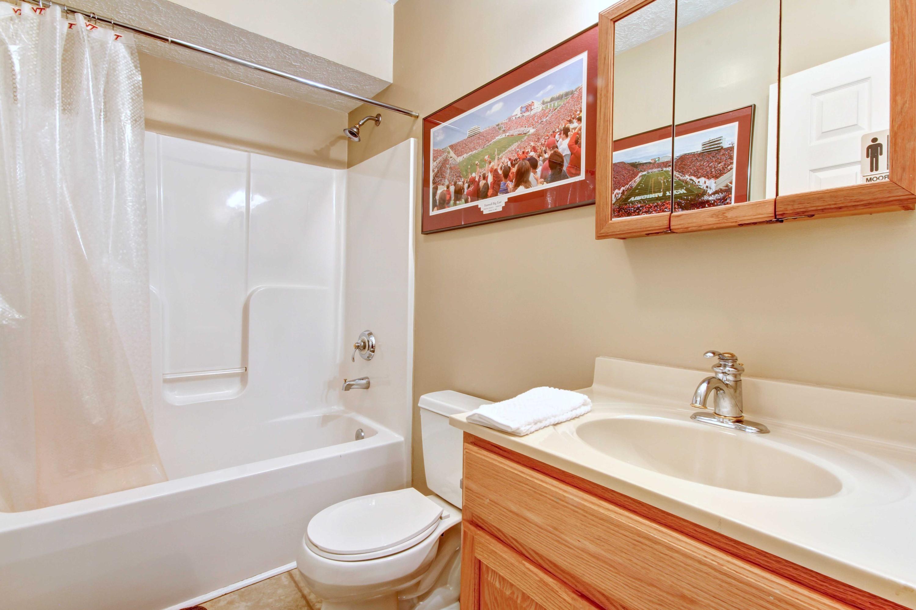4690 Crosier Road Elliston, VA 24087 - Photo 54 of 79 a bathroom with a sink a toilet and a bathtub