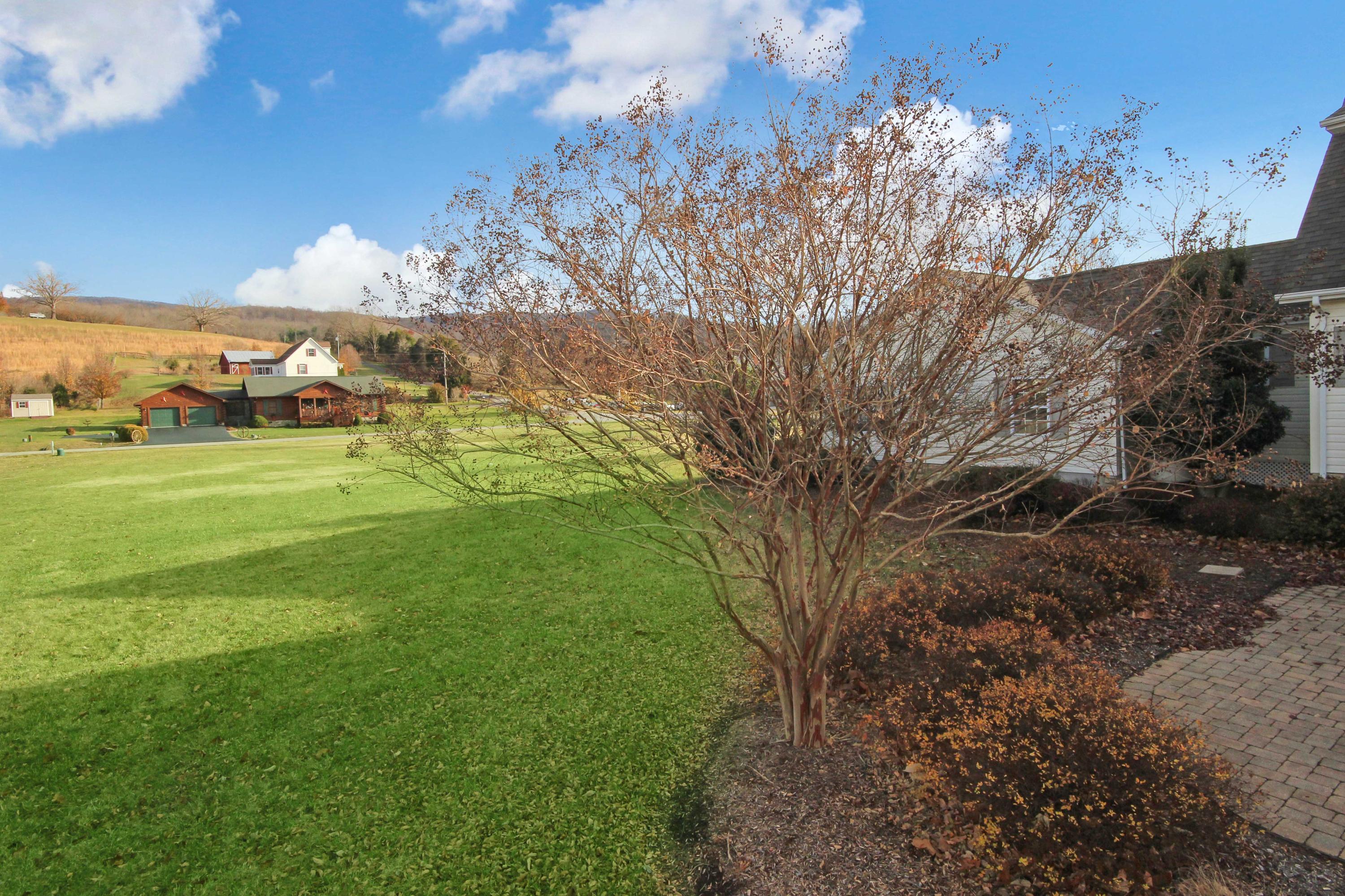 4690 Crosier Road Elliston, VA 24087 - Photo 65 of 79 a view of a big yard with lots of green space and mountain view