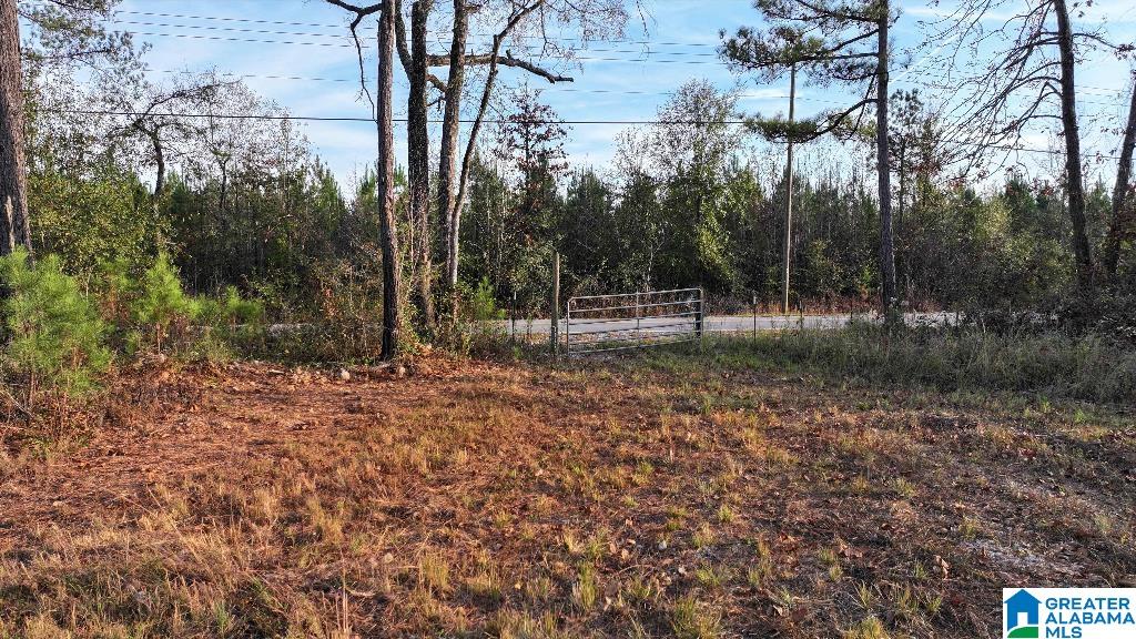 200 Kelly Creek Road Odenville, AL 35120 - Photo 17 of 47