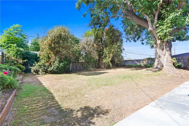 a view of a yard with plants and trees