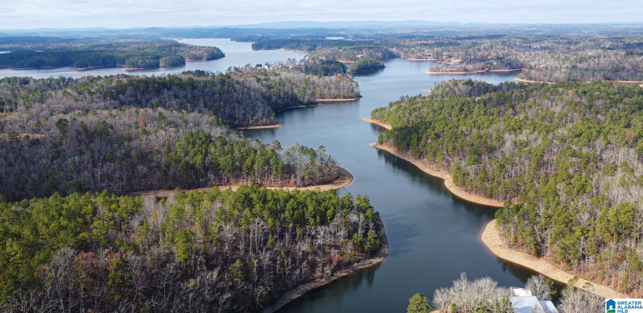 Lot 17 Dogwood Ridge, Unit 17 Wedowee, AL 36278 - Photo 8 of 12 Gallery Image 8