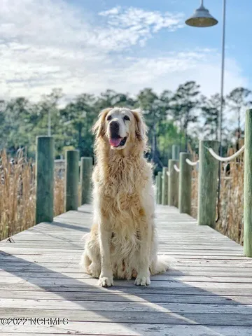 $99,500 | 494 West Burton Farm Drive, Minnesott Beach, NC 28510