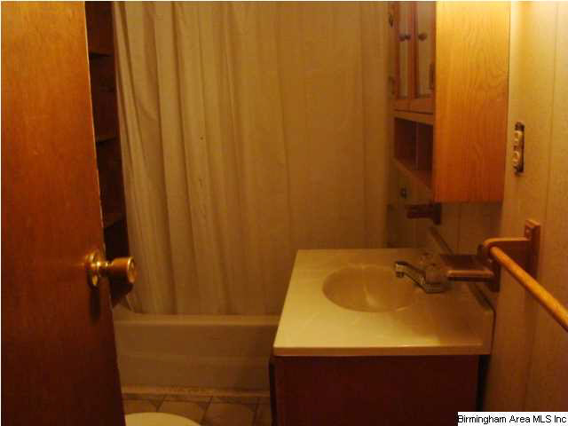 66 Highway 204 Ohatchee, AL 36271 - Photo 13 of 17