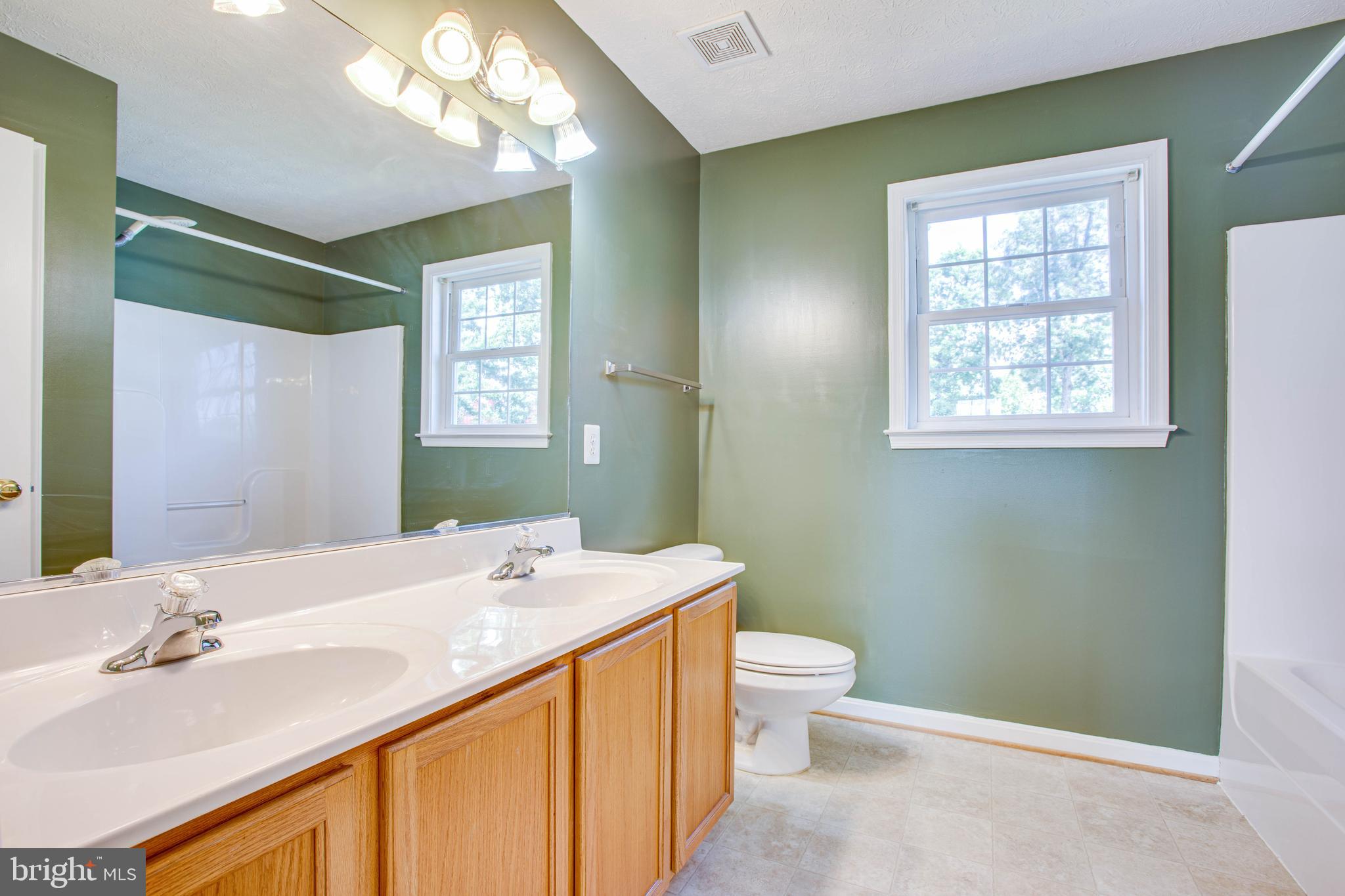 35187 Pheasant Ridge Road Locust Grove, VA 22508 - Photo 32 of 50 Master bathroom