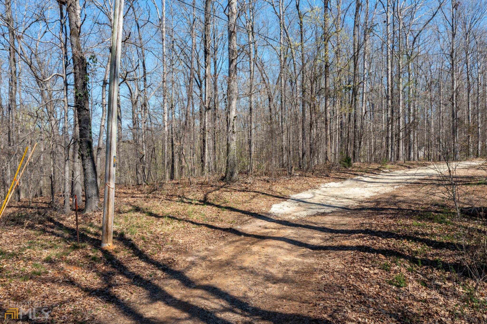 0 Tomlin Way Commerce, GA 30530 - Photo 1 of 1