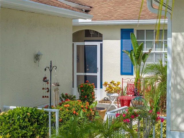 a potted plant sitting in front of a house