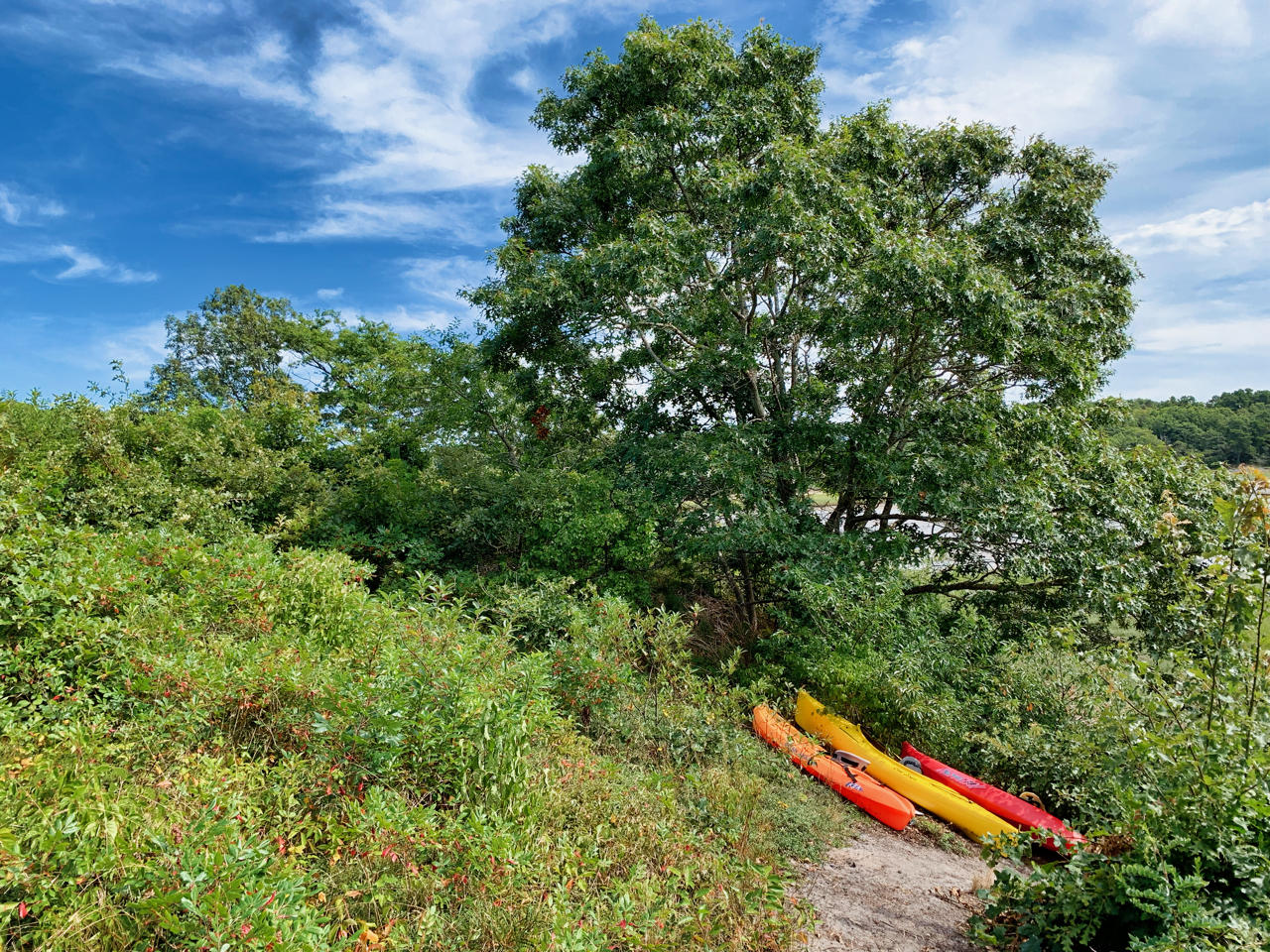 72 Depot Road Truro, MA 02666 - Photo 17 of 19 DepotRd-kayaks