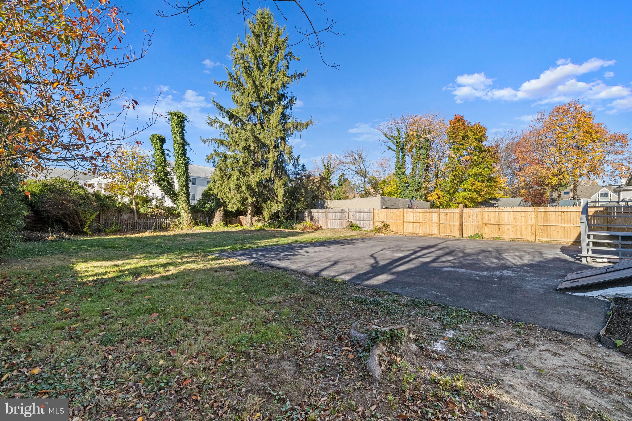 222 Church Road Ardmore, PA 19003 - Photo 65 of 69 a view of yard with tree