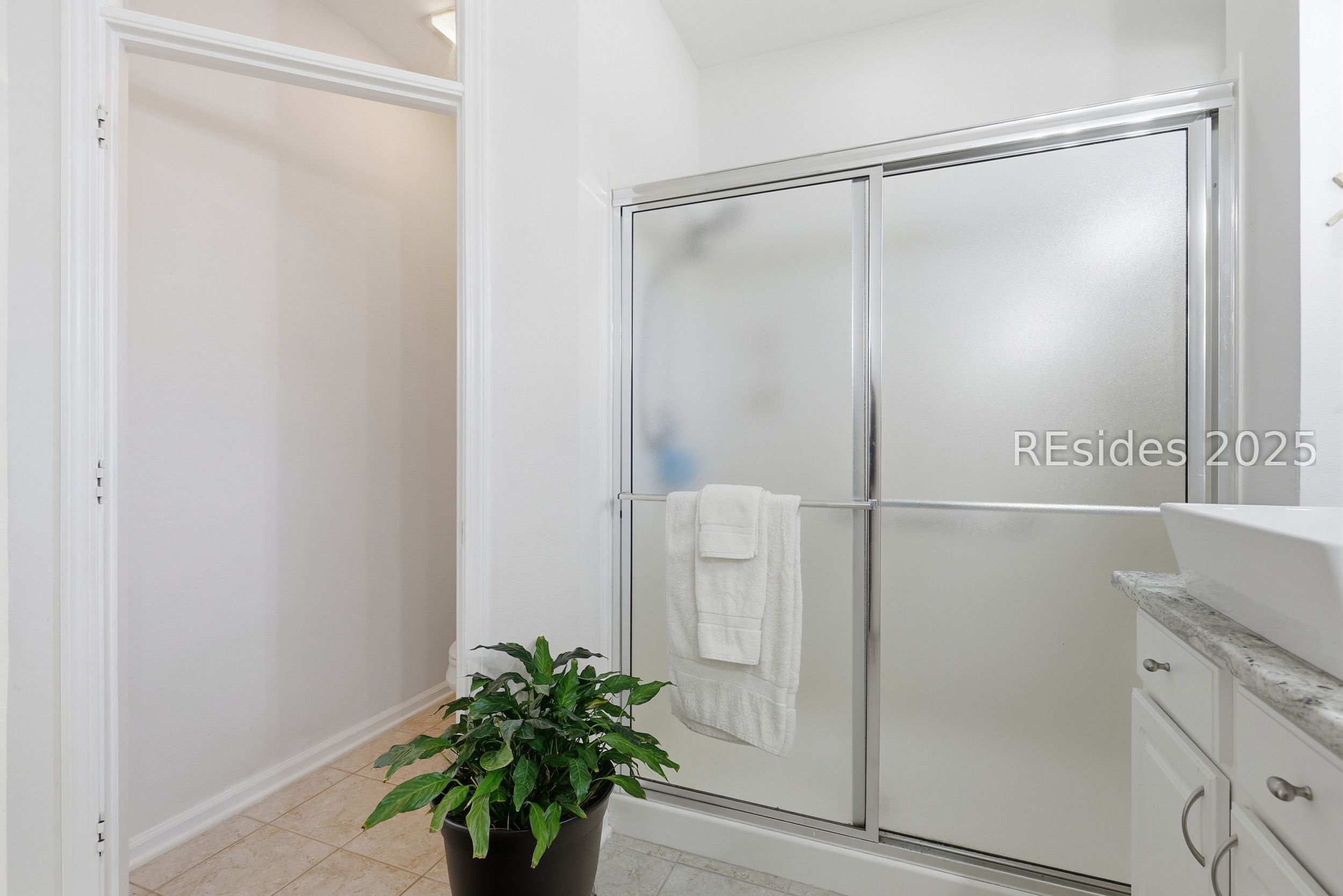 19 Hampton Circle Bluffton, SC 29909 - Photo 28 of 48 Primary walk-in shower and separate water closet