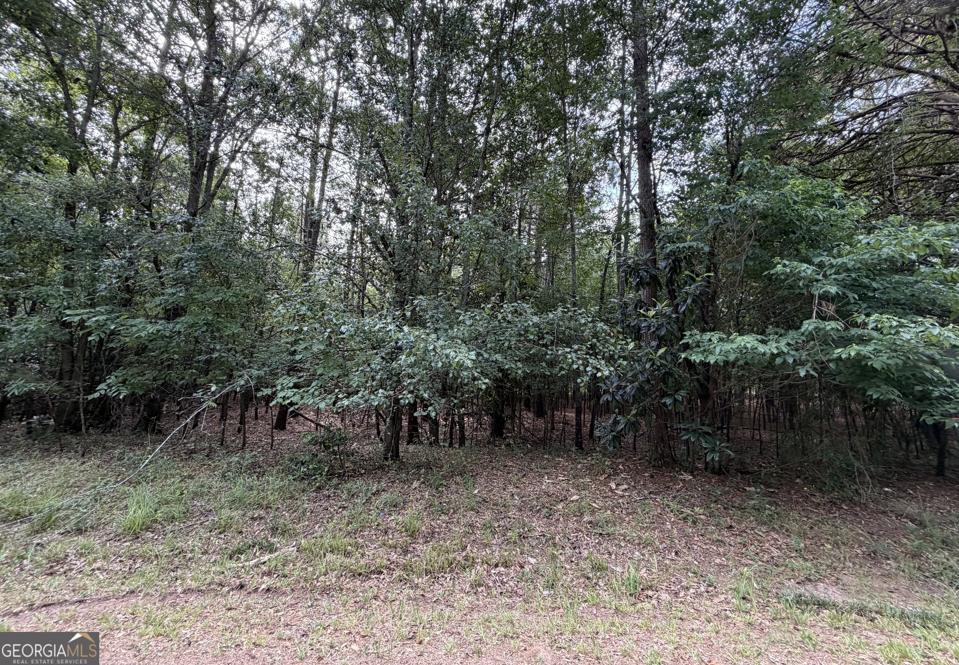 0 Cleveland Avenue Buckhead, GA 30625 - Photo 2 of 2