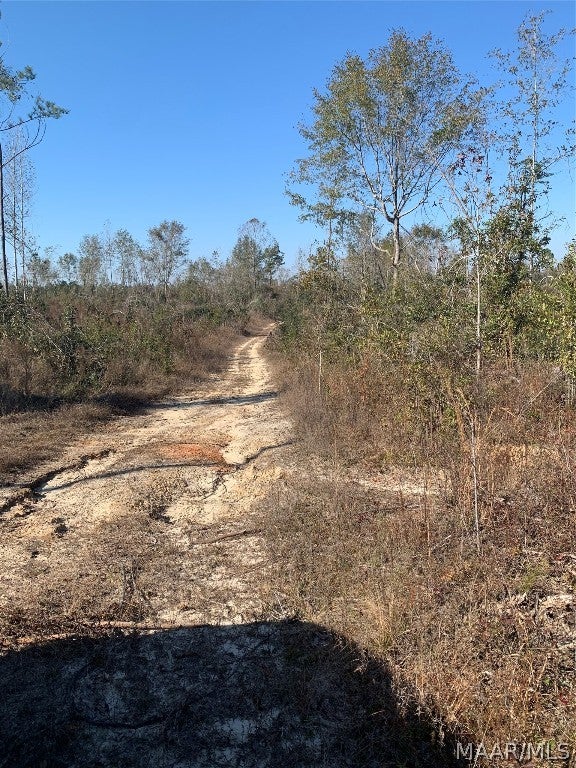0 Old Three Notch Road Brantley, AL 36009 - Photo 5 of 14 Gallery Image 5