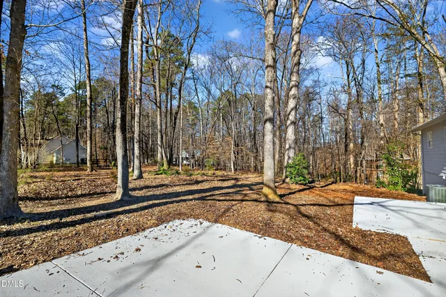 a street view with large trees