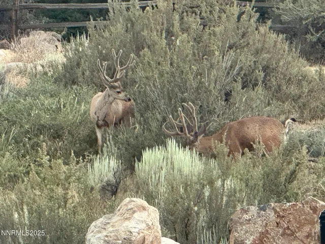 $799,000 | 239 Commodore Drive, Verdi, NV 89439