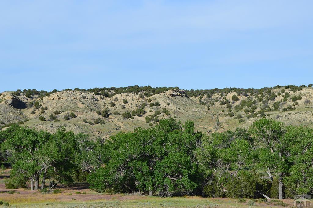 Lot 11 Ghost River Ranch Rye, CO 81069 - Photo 24 of 42