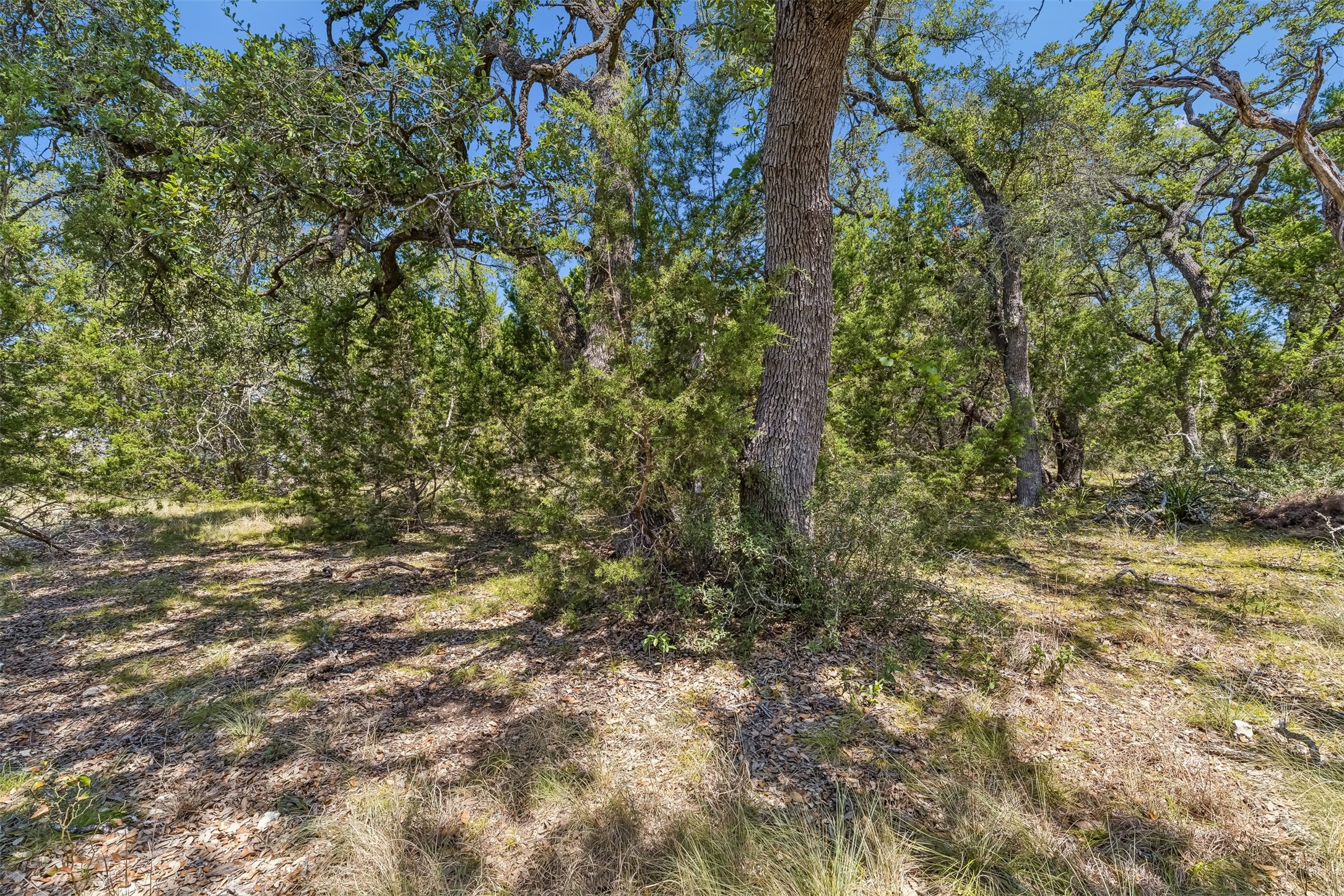 854 Maximino Ridge Road Bulverde, TX 78163 - Photo 5 of 32 Gallery Image 5