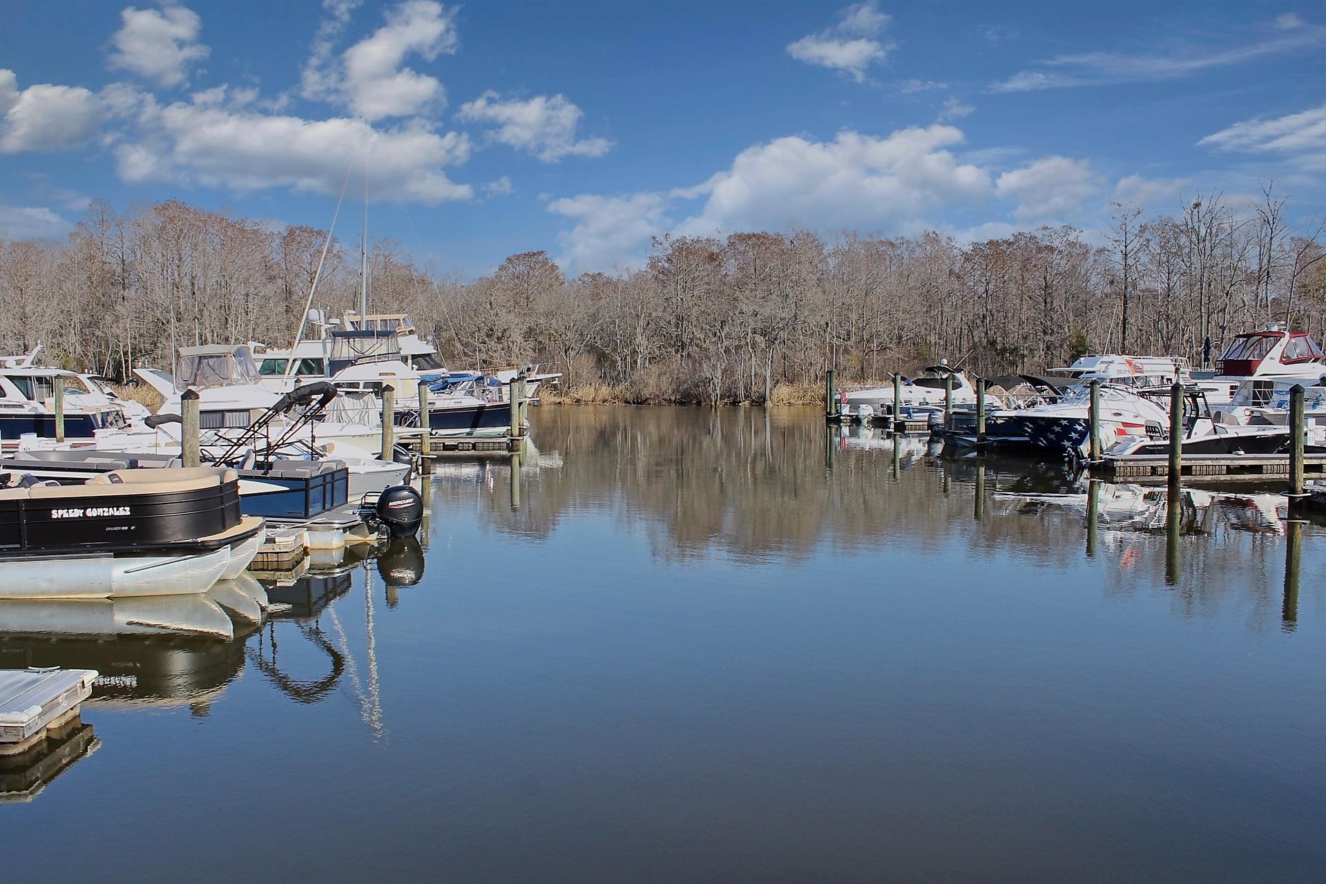 1950 Wachesaw Road Murrells Inlet, SC 29576 - Photo 4 of 20