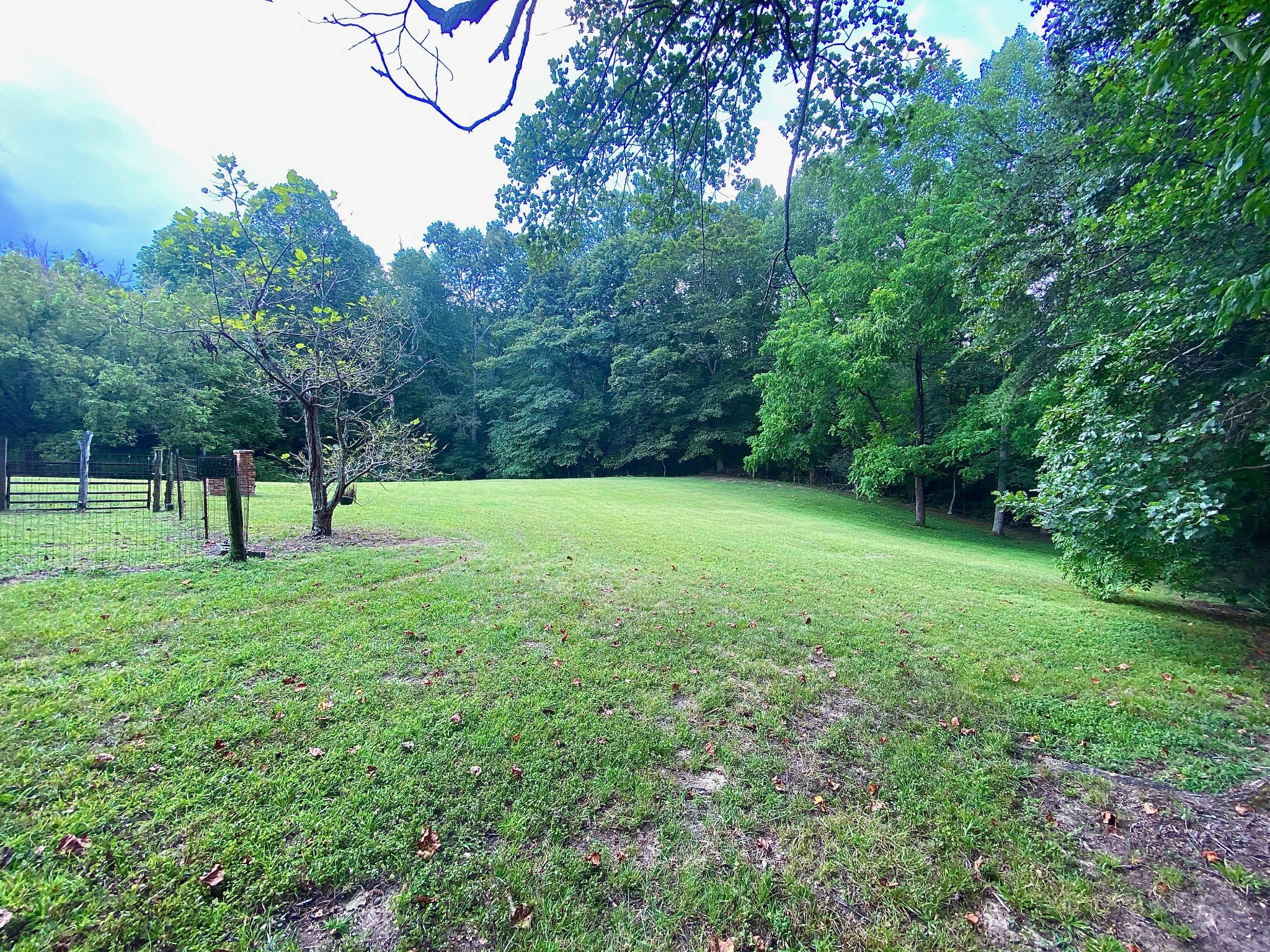 491 Camp Overton Road Rock Island, TN 38581 - Photo 9 of 31 Gallery Image 9