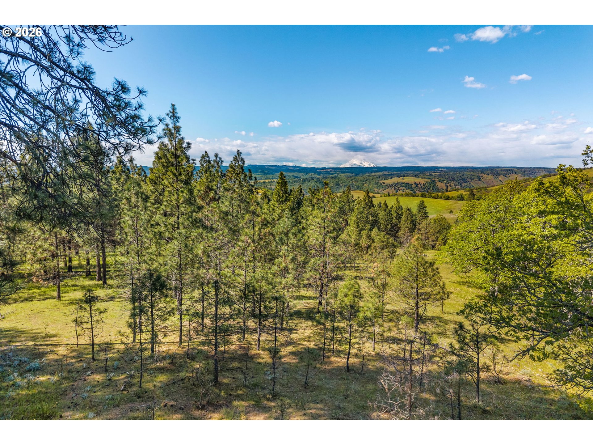 370 Rowland Road Lyle, WA 98635 - Photo 2 of 26 Gallery Image 2